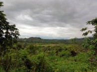 DSC07285
