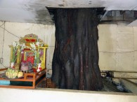 DSC07349